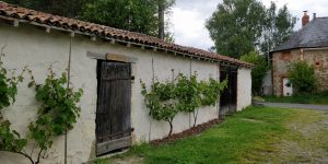 Garovin_IMG_20190518_155708