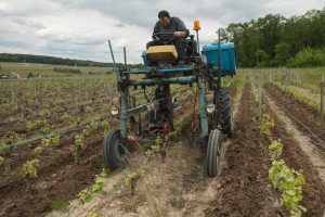 Tardieux 06 DEBUTT056