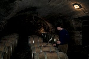 Cellar
