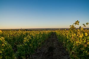 181005_004_photo Benoit Martin