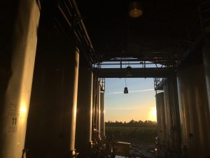 Winery sunset