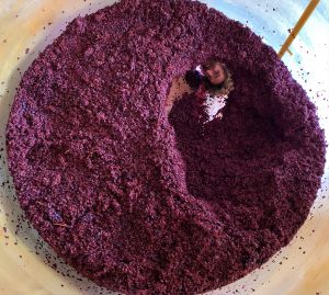 Dame Jeanne_Gennaro et Terre de Sienne 2020