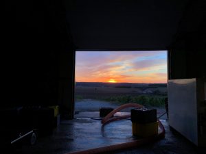 Dame Jeanne_Harvest 2020