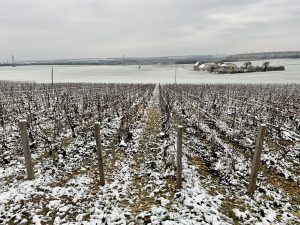 Dame Jeanne_IMG_7686