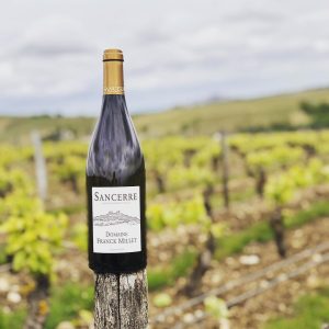sancerre