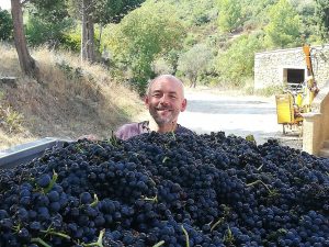 derniere benne syrah