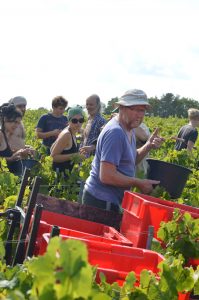 Ruppert Leroy Harvest