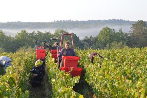 Ruppert Leroy Manu on tractor