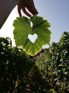 E0B44566-1C17-45A6-A6AA-08DDB4482AD9