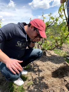 Champagne Stephane Regnault portrait 2