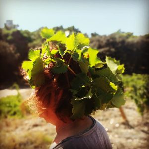 IMG_20190903_155806_295