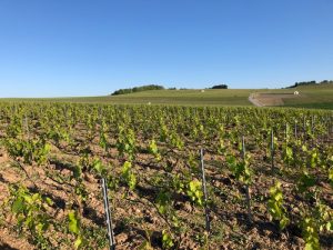 IMG_20200423_105426_01