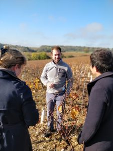 IMG_20201105_103450_Bokeh