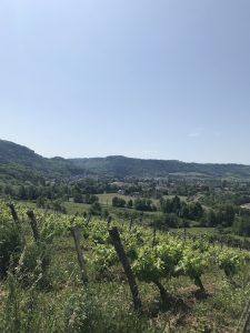 Morel view of Poligny