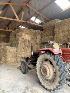 Ruppert Leroy haybarn