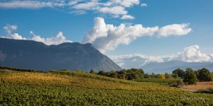 ©johan chemin 2016-10-20-12