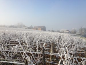 Les Perrelles Sud Bojo 4