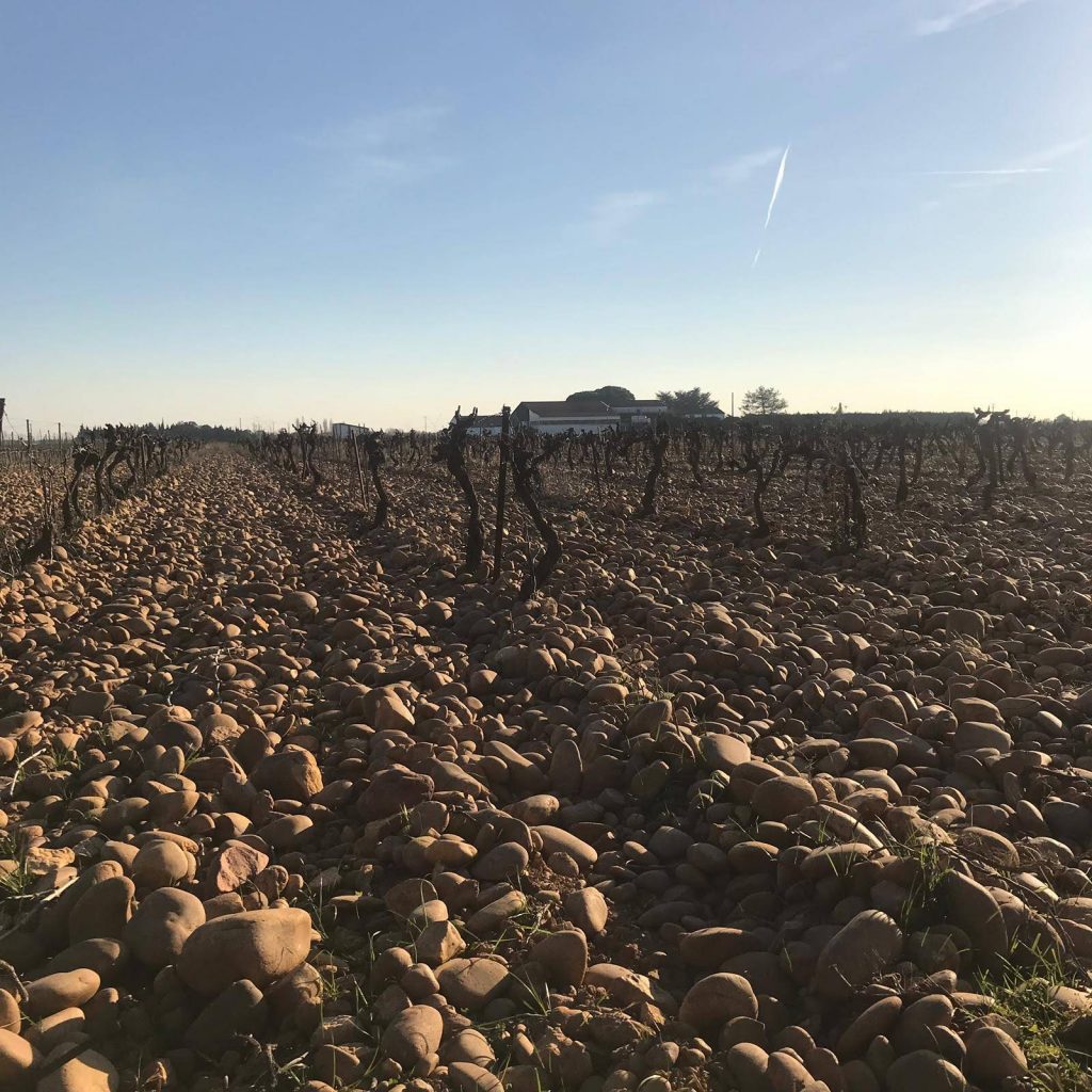 Cherche Midi Paris Wine Company