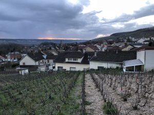 Vadin-Plateau vineyard at sunset