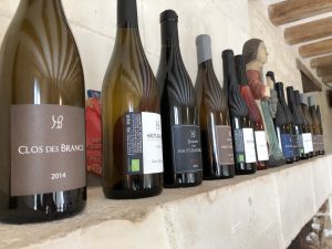 Photo Feb 02, 2 51 52 PM