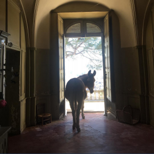 Screen Shot 2020-09-10 at 09.59.26