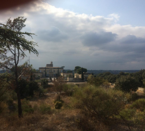 Screen Shot 2020-09-10 at 10.00.22