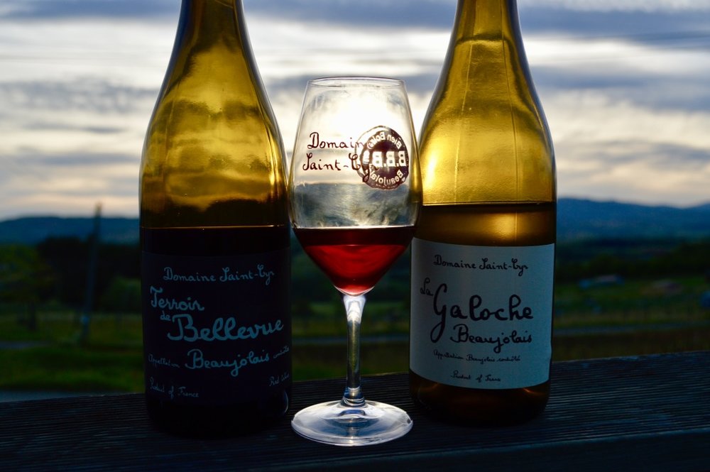 Raphael SaintCyr and The Spirit of the Beaujolais Paris Wine Company