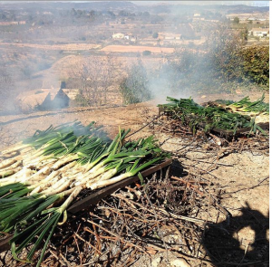 Succes 2021-01-19 at 23.00.33