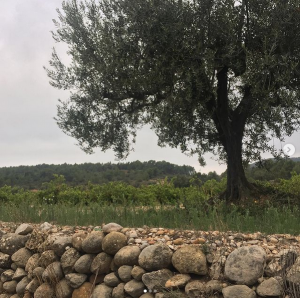 Succes 2021-01-19 at 23.01.38