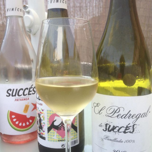 Succes 2021-01-19 at 23.01.47