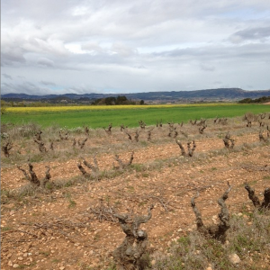 Succes 2021-01-19 at 23.02.24