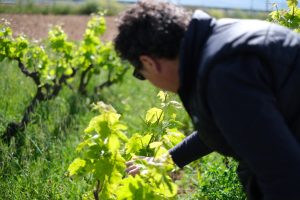 2019.05.Enric Xarello for Nun