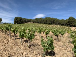 2019.05.Espenyalluchs