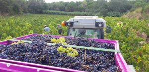 6faf8e5a-8d87-4a63-ab3c-8d5e00701b1c