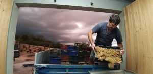 fbae126e-05a4-4a92-b148-5db185043060