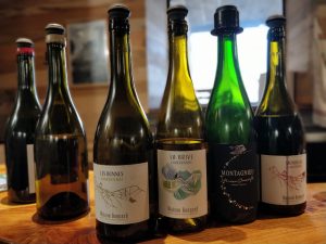 IMG_20211117_110447_Bokeh