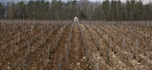 Screen Shot 2022-08-05 at 10.24.34 AM