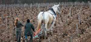 Screen Shot 2022-08-05 at 10.24.42 AM