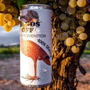 sin título-1-2 còpia 3