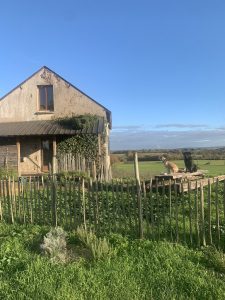 3DE21347-4DAC-4EE3-8B4A-D8BD7CD73544_1_105_c