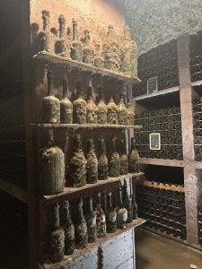 0397D541-DA64-4076-93CF-877C132FE4C7_1_105_c