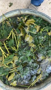 E4B8334E-B3E0-427C-8F01-0A77B25FF663